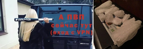 СК Абдулино