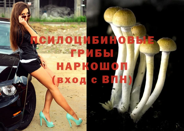 СК Абдулино